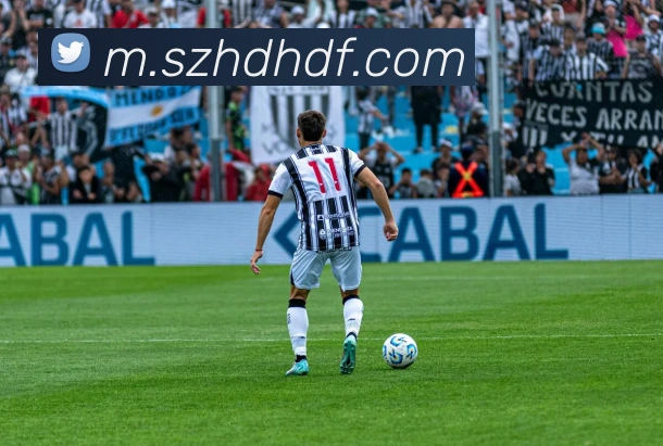 巅峰国际APP 封面图